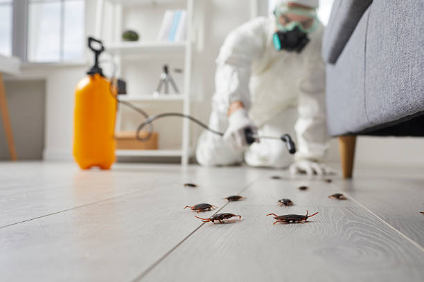 Trusted Termite Control service in Creve Coeur, IL - Nex Pest Control
