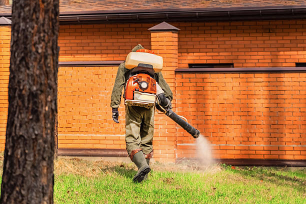 Trusted Bed Bug Control service in Creve Coeur, IL - Nex Pest Control